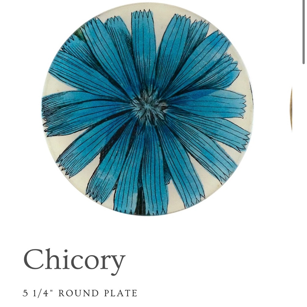 John Derian Chicory
51/4" ROUND PLATE